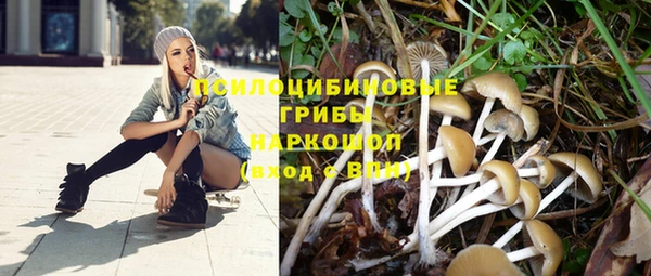 гашиш Арсеньев