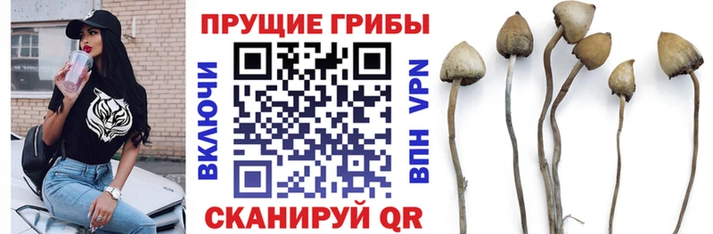 блэк спрут ONION  Тетюши  Псилоцибиновые грибы Magic Shrooms 